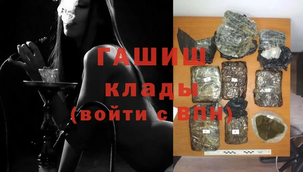 индика Абаза