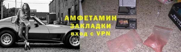 индика Абаза