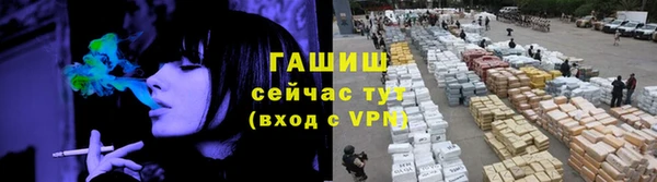 индика Абаза
