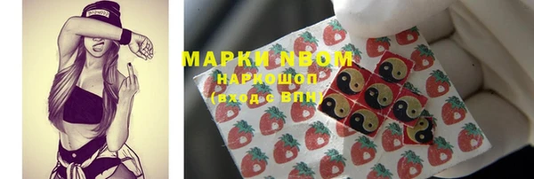 соль ск Новодвинск