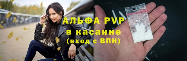 индика Абаза