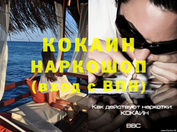 прущие крисы Новокубанск