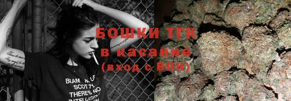 мет Новозыбков