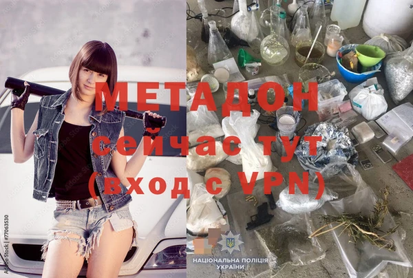 индика Абаза