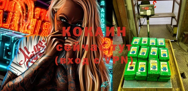 индика Абаза