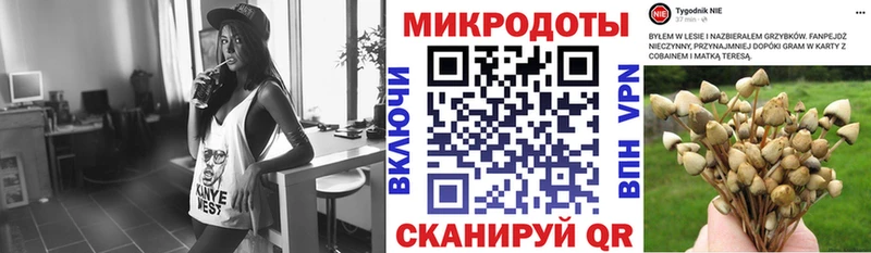 кракен вход  Андреаполь  Галлюциногенные грибы Psilocybe 